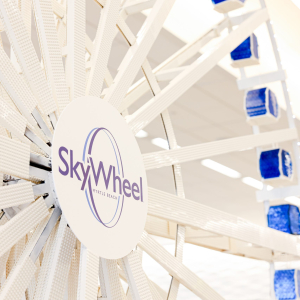 LegoSkywheel-19