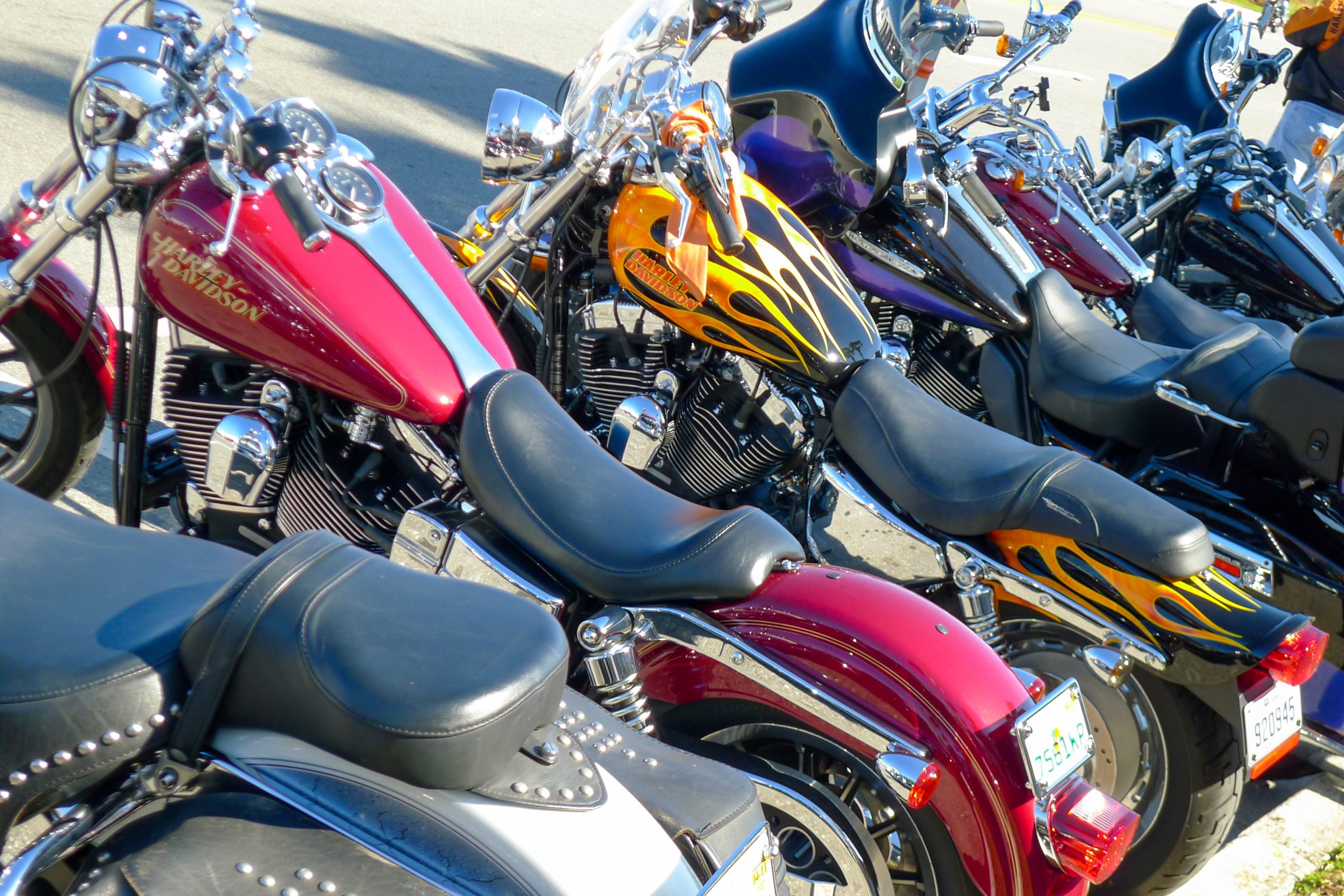 line of motorcycles
